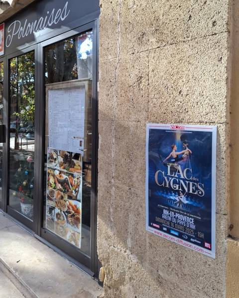 Affichage protégé ZECOM - Le Lac des Cygnes le 16 mars Arena du Pays d’Aix 