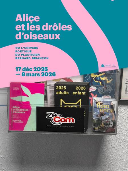 Alice et les drôle d'oiseaux programme Marseille 