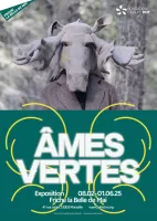 Notre zone d'activité pour ce service Création de présentation graphique sur supports multimédias pour événements culturels ou artistiques